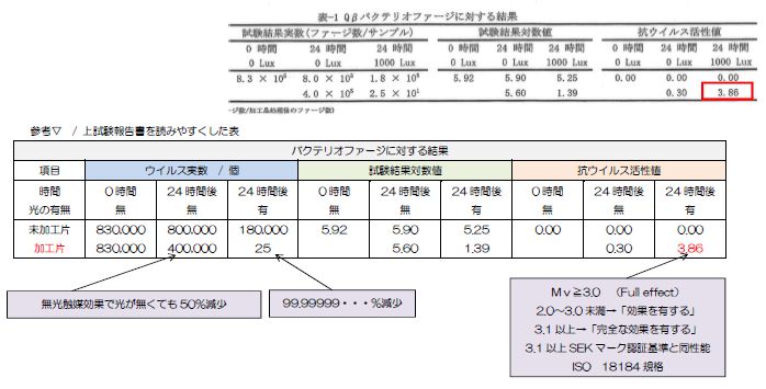 抗ウイルス試験 (24 時間浄化評価)